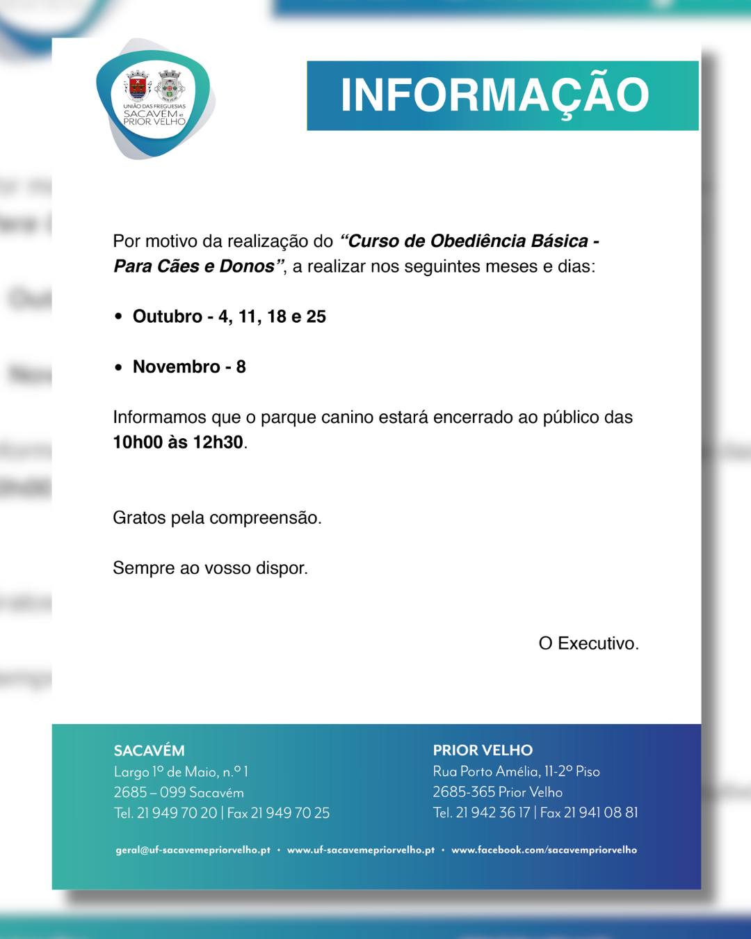 548834099 1207774371386743 7908277551859629698 n