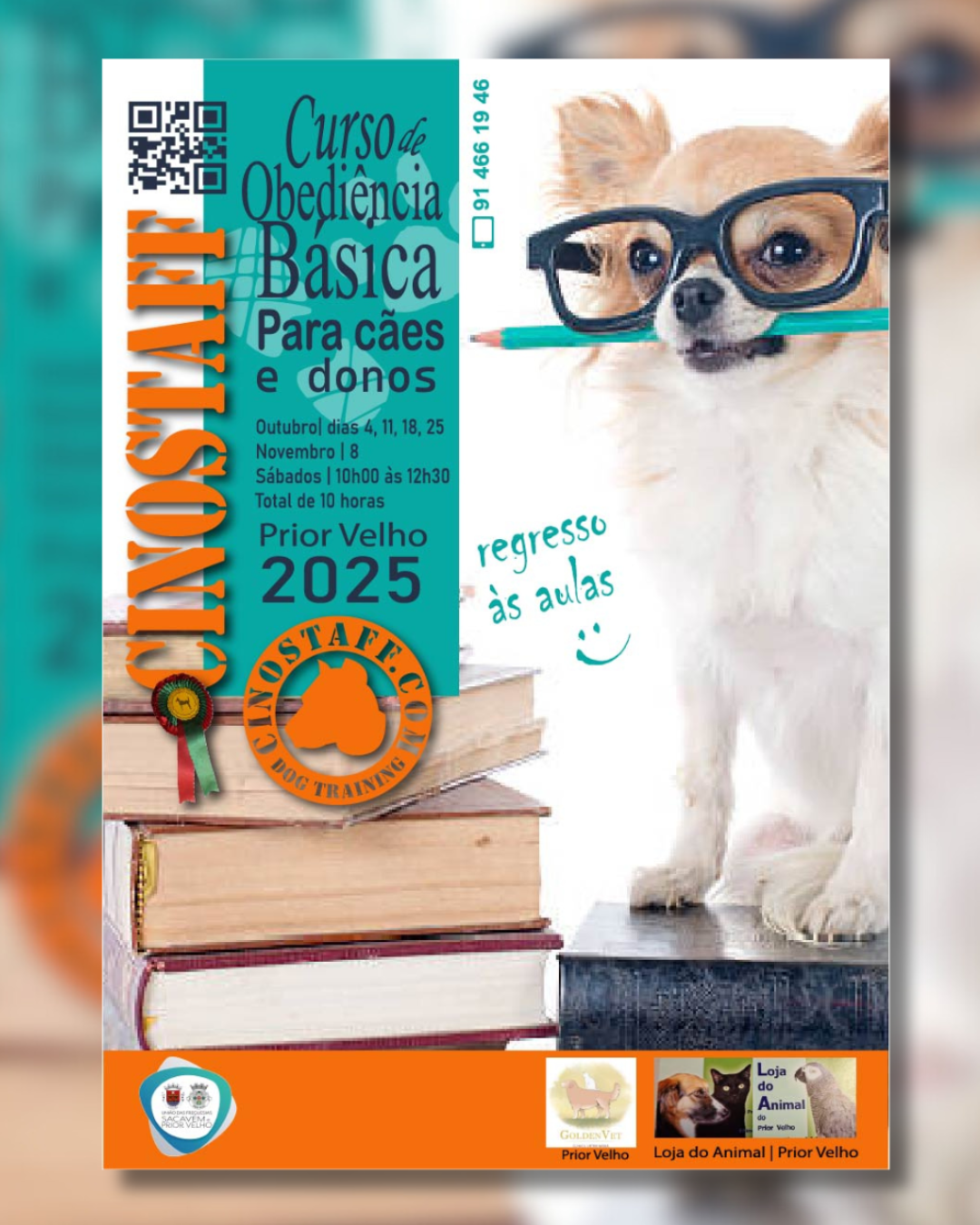 layout divulgacoes 6