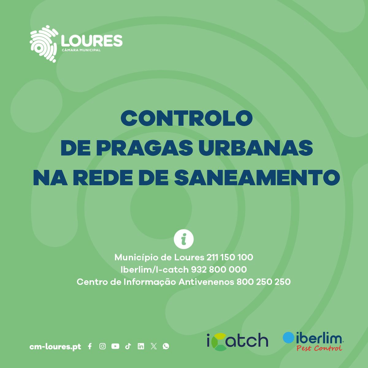 560924772 1230865195743307 6293683876040201639 n