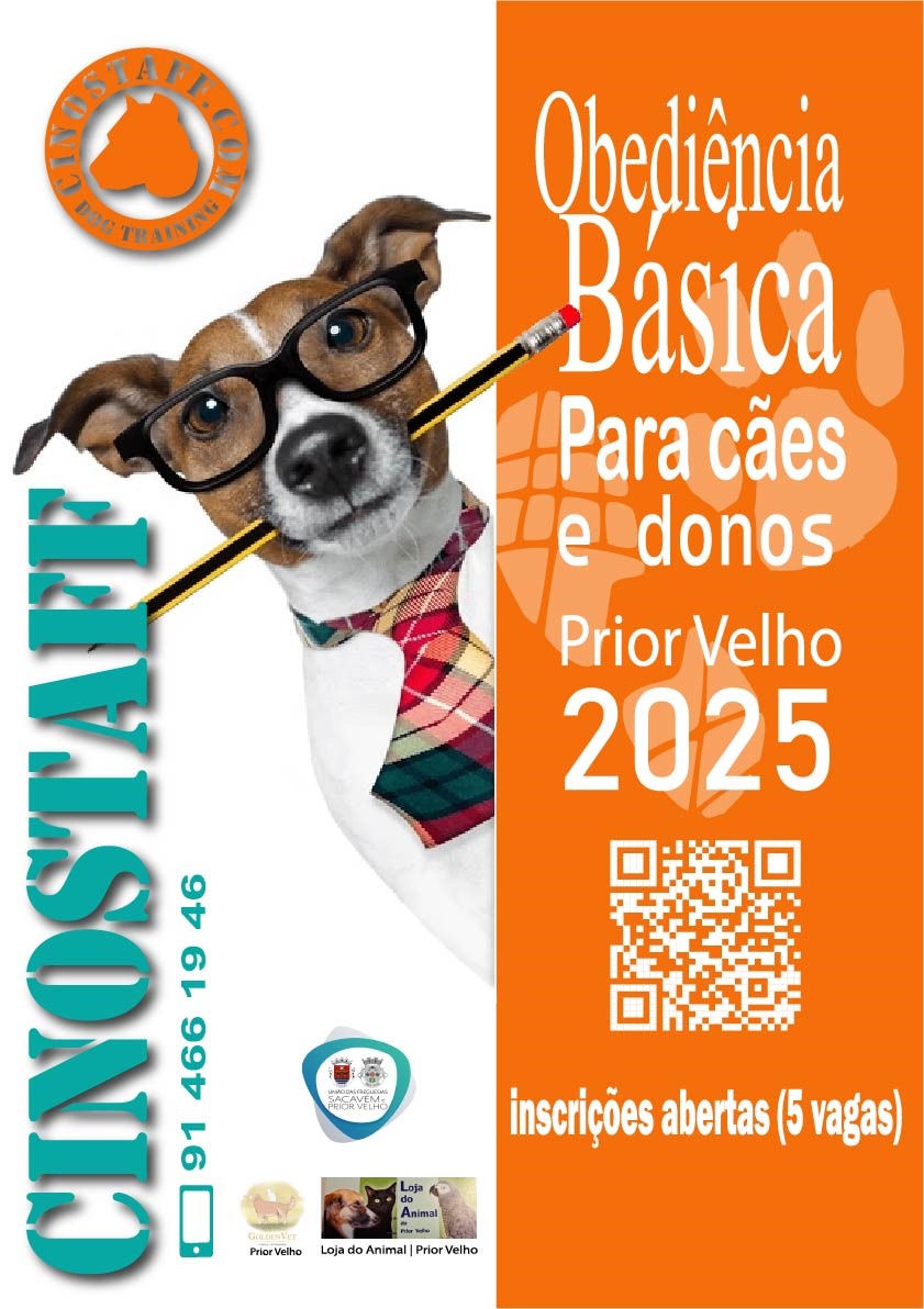 WhatsApp Image 2025 10 13 at 12.30.35