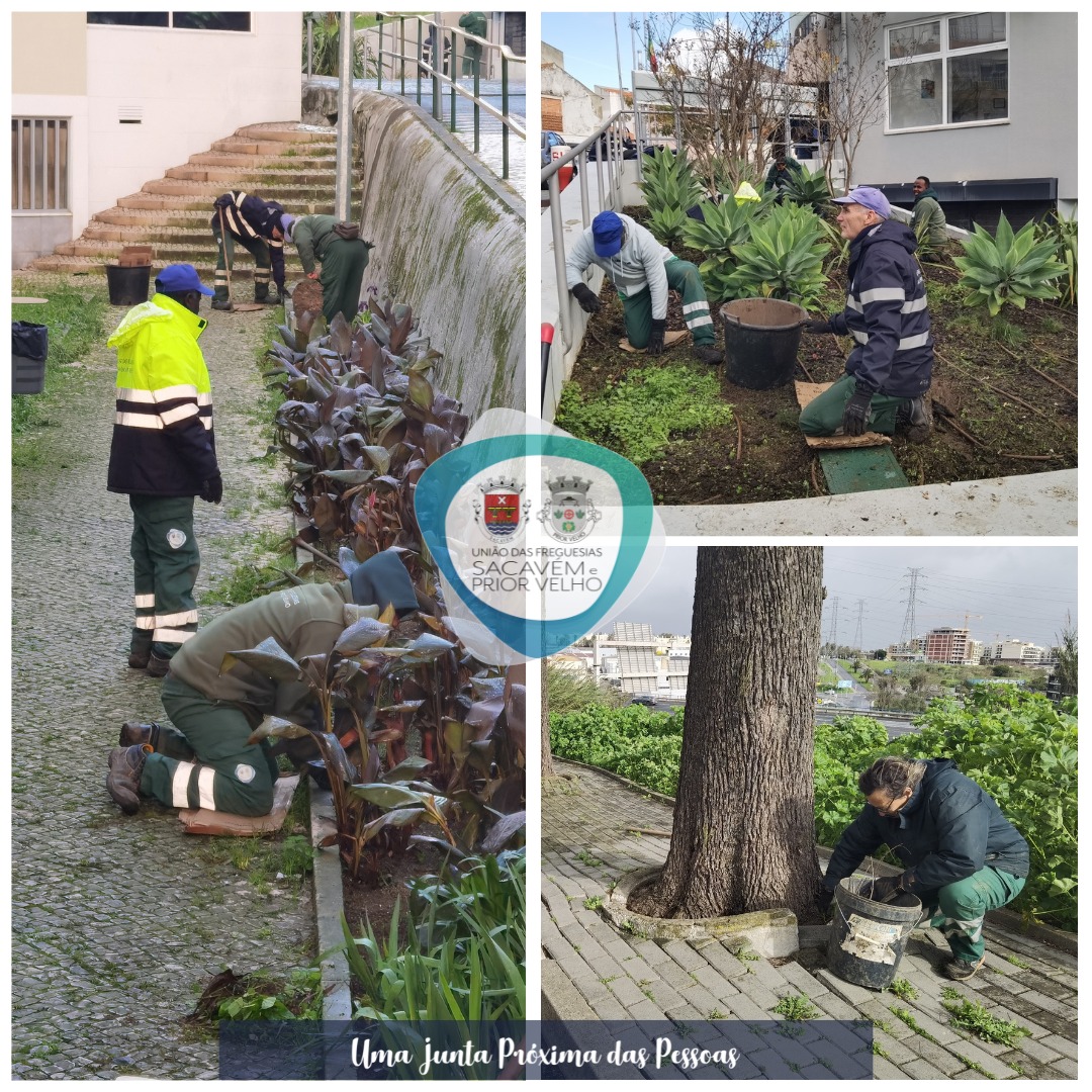 633664035 1333395085491337 2845974772429990890 n