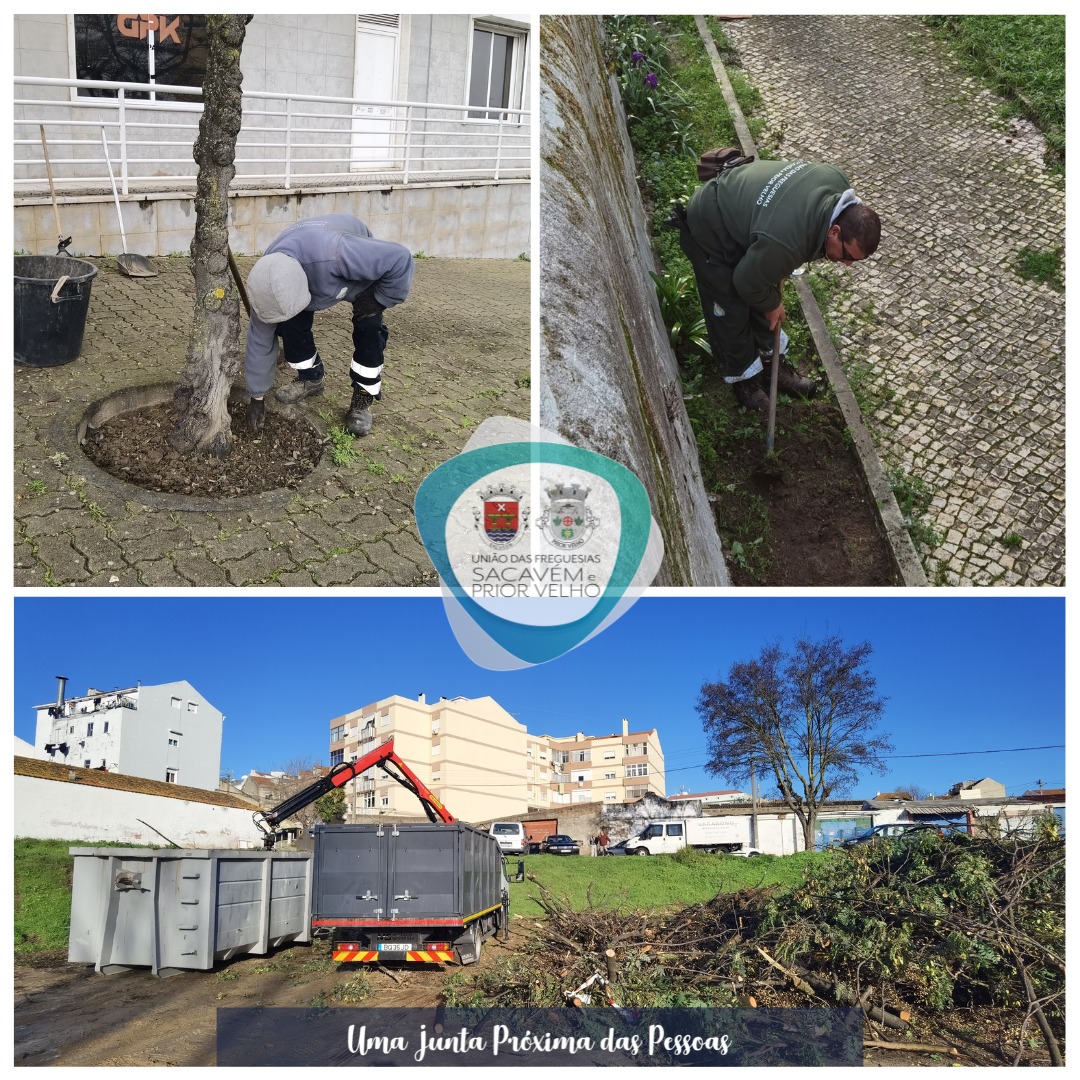 633941219 1333395072158005 7399859569884354993 n