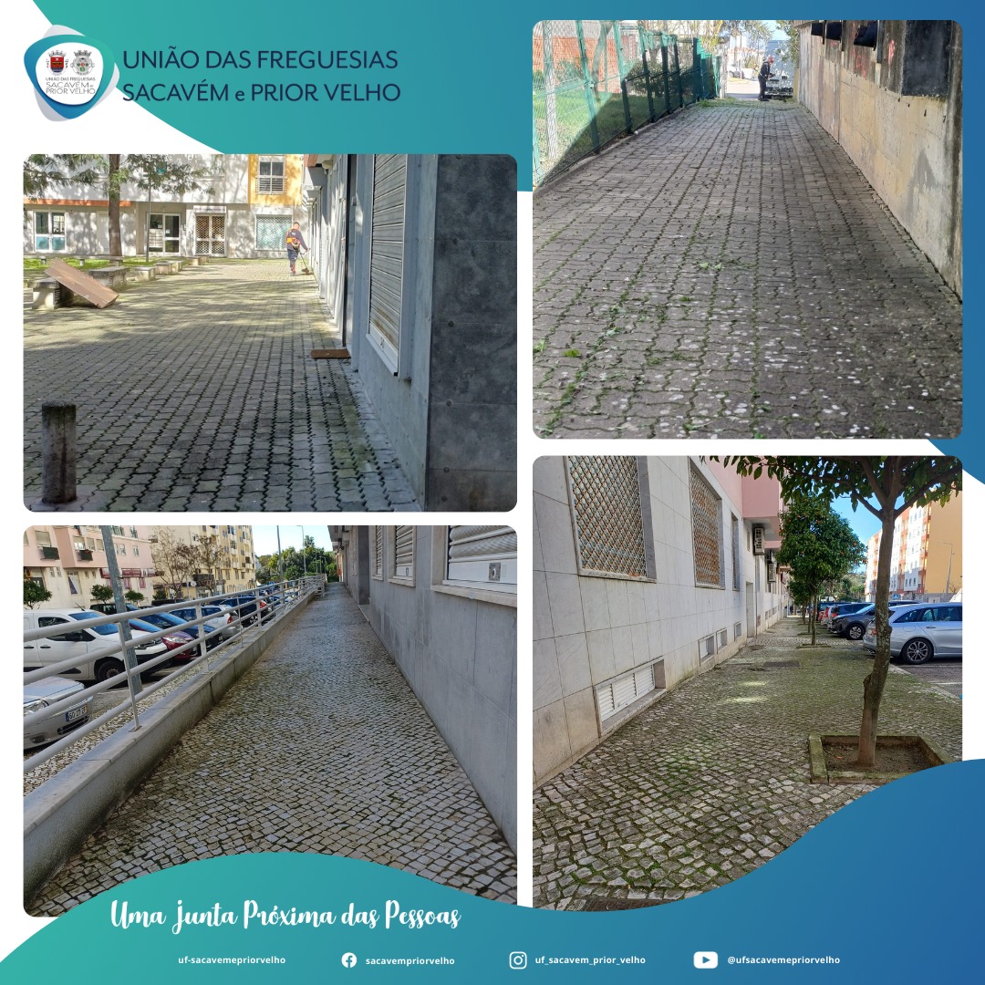 649873592 1354366110060901 7796277936082812192 n