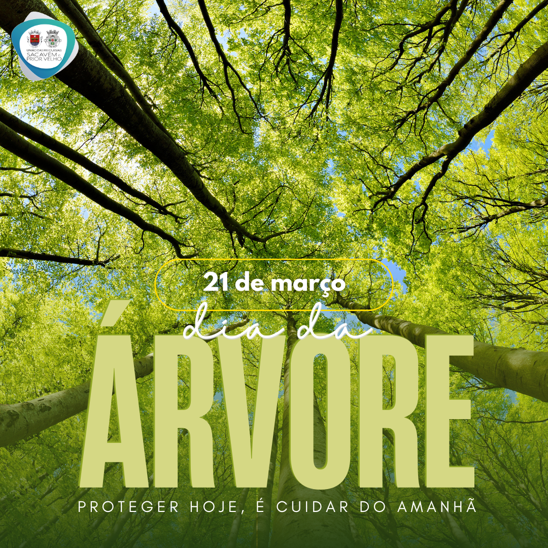 Dia da Arvore