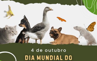 DIA MUNDIAL DO ANIMAL | 4 DE OUTUBRO