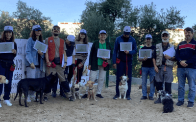 DECORREU | CURSO DE OBEDIÊNCIA BÁSICA PARA CÃES E DONOS | PARQUE CANINO – PRIOR VELHO