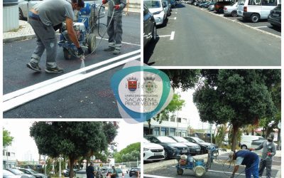 PINTURA DE BOLSAS DE ESTACIONAMENTO | SACAVÉM E PRIOR VELHO