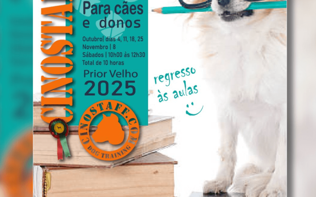 DIVULGAÇÃO | CURSO DE OBEDIÊNCIA BÁSICA PARA CÃES E DONOS | OUTUBRO E NOVEMBRO | PRIOR VELHO