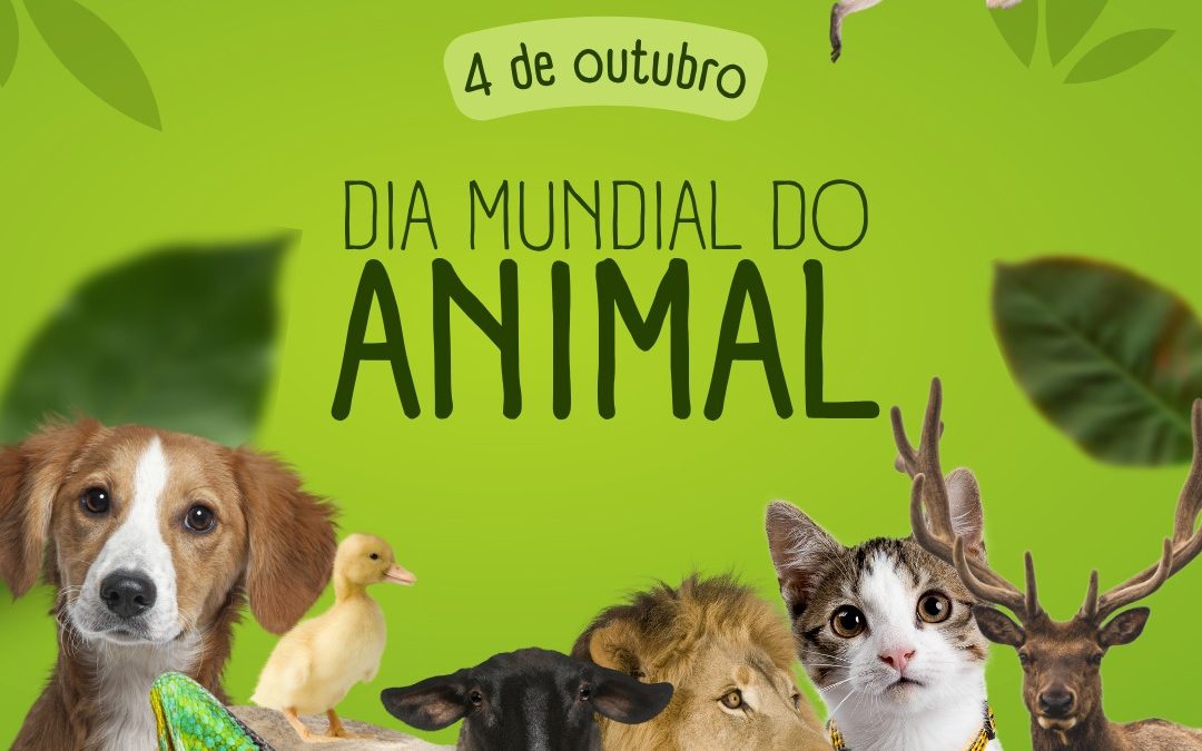 DIA MUNDIAL DO ANIMAL | 4 DE OUTUBRO