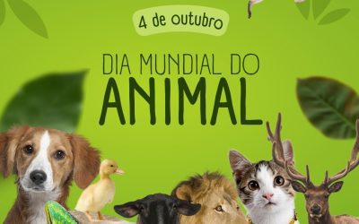 DIA MUNDIAL DO ANIMAL | 4 DE OUTUBRO
