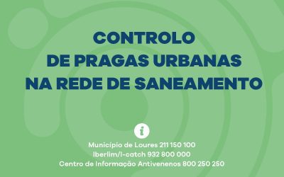 INFORMAÇÃO | CÂMARA MUNICIPAL DE LOURES | CONTROLO DE PRAGAS URBANAS NA REDE DE SANEAMENTO | SACAVÉM E PRIOR VELHO