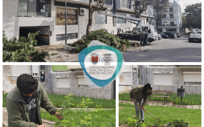 MANUTENÇÃO DOS ESPAÇOS VERDES