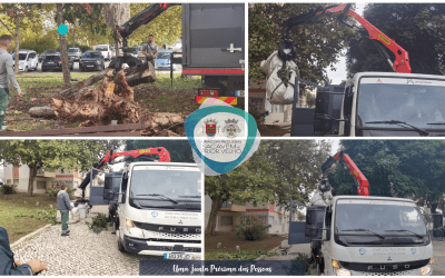 A DECORRER | LIMPEZA DO ESPAÇO PÚBLICO | RESÍDUOS VERDES