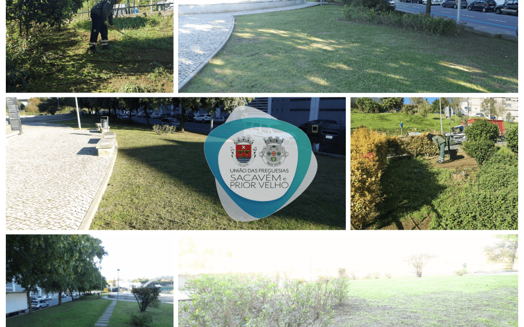 ZONAS VERDES | LIMPEZA E MANUTENÇÃO | SACAVÉM E PRIOR VELHO