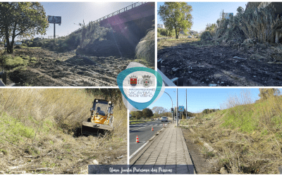 A DECORRER | DESMATAÇÃO | SACAVÉM E PRIOR VELHO