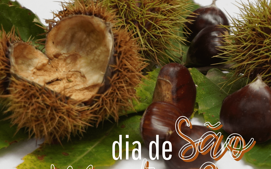 DIA DE SÃO MARTINHO | 11 DE NOVEMBRO