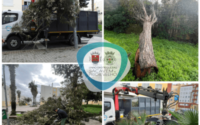 COMUNICADO | DEPRESSÃO KRISTIN