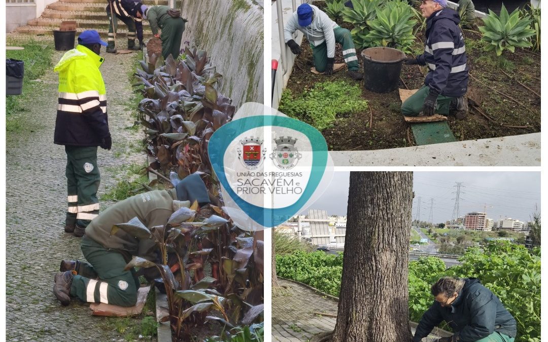 ZONAS VERDES | LIMPEZA E MANUTENÇÃO | SACAVÉM E PRIOR VELHO