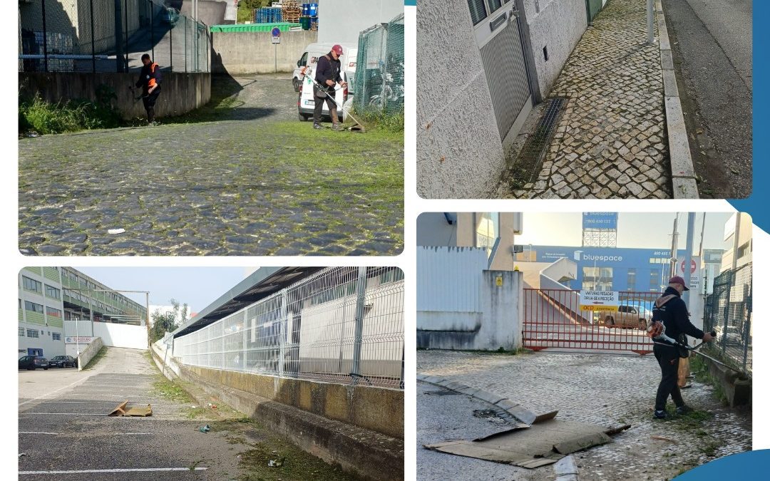 A DECORRER | MANUTENÇÃO E LIMPEZA DO ESPAÇO PÚBLICO | PRIOR VELHO