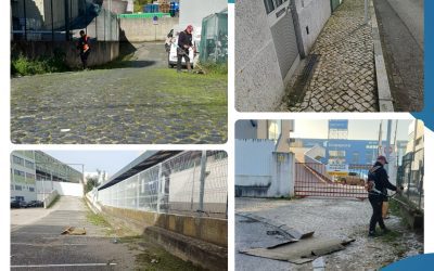 A DECORRER | MANUTENÇÃO E LIMPEZA DO ESPAÇO PÚBLICO | PRIOR VELHO