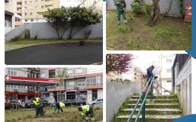 ZONAS VERDES | LIMPEZA E MANUTENÇÃO | SACAVÉM E PRIOR VELHO