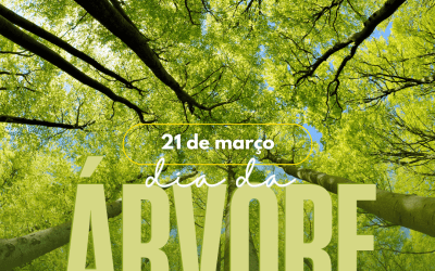 DIA MUNDIAL DA ÁRVORE | 21 DE MARÇO
