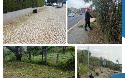 A DECORRER | MANUTENÇÃO E LIMPEZA DO ESPAÇO PÚBLICO