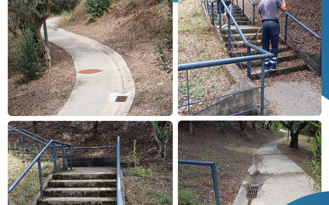 MANUTENÇÃO DOS ESPAÇOS VERDES | PARQUE URBANO | PRIOR VELHO