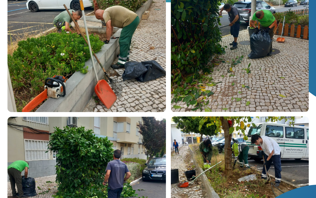 ESPAÇO PÚBLICO | LIMPEZA, MANUTENÇÃO E CONSERVAÇÃO DOS ESPAÇOS VERDES