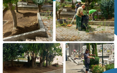ESPAÇOS VERDES | LIMPEZA E MANUTENÇÃO