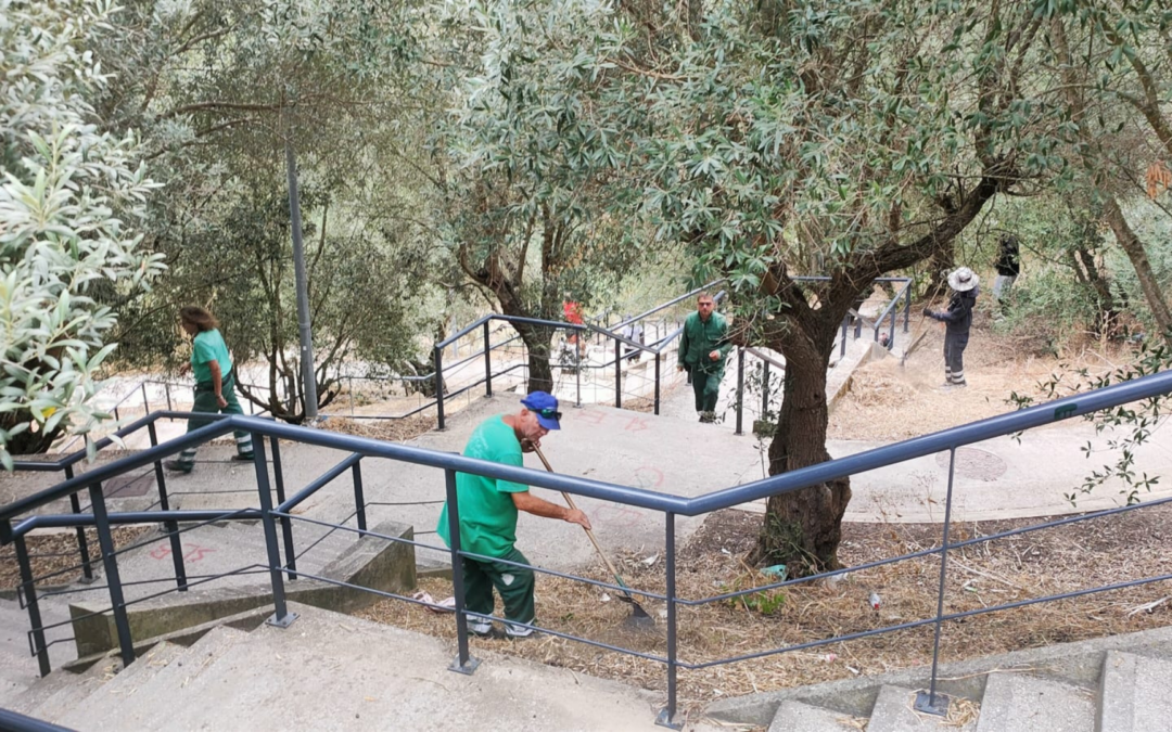 MANUTENÇÃO DOS ESPAÇOS VERDES | PARQUE URBANO | PRIOR VELHO