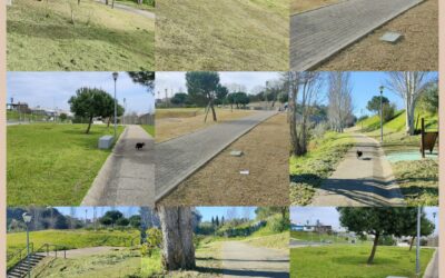 MANUTENÇÃO ESPAÇOS VERDES | PARQUE URBANO DO PRIOR VELHO