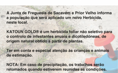 Aplicação de Herbicida KATOUN GOLD – 11 fevereiro 2019