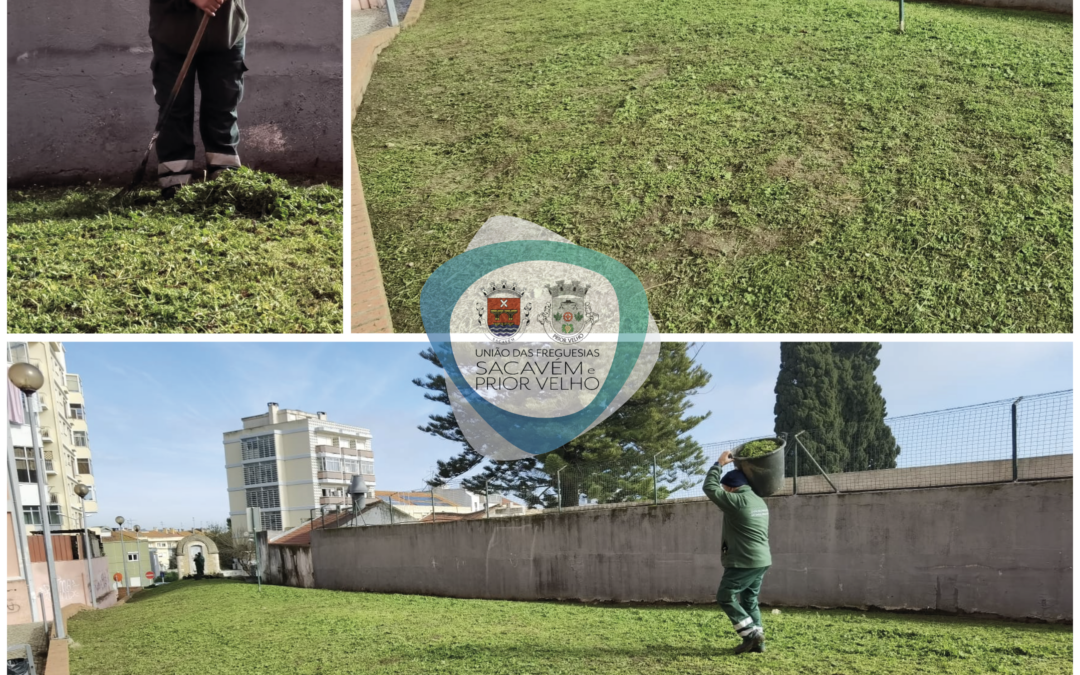 MANUTENÇÃO DOS ESPAÇOS VERDES | SACAVÉM