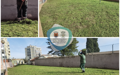 MANUTENÇÃO DOS ESPAÇOS VERDES | SACAVÉM