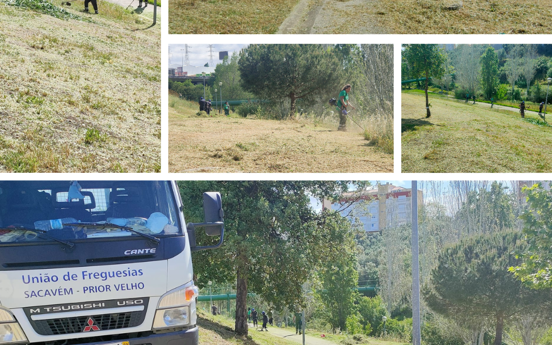 MANUTENÇÃO ESPAÇOS VERDES | PARQUE URBANO PRIOR VELHO