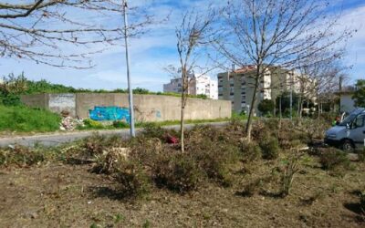 Arranjo de espaços verdes em Sacavém