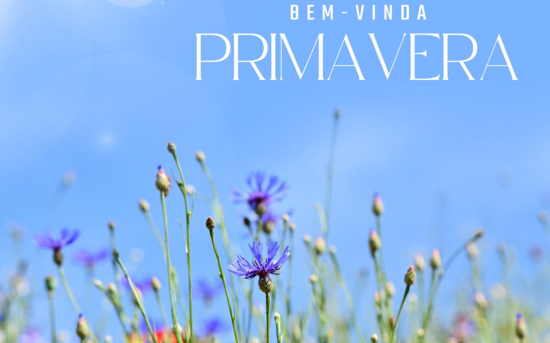 INÍCIO DA PRIMAVERA | 20 DE MARÇO