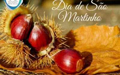 DIA DE SÃO MARTINHO | 11 DE NOVEMBRO DE 2022