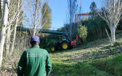 A DECORRER | MANUTENÇÃO DOS ESPAÇOS VERDES | PARQUE URBANO | PRIOR VELHO