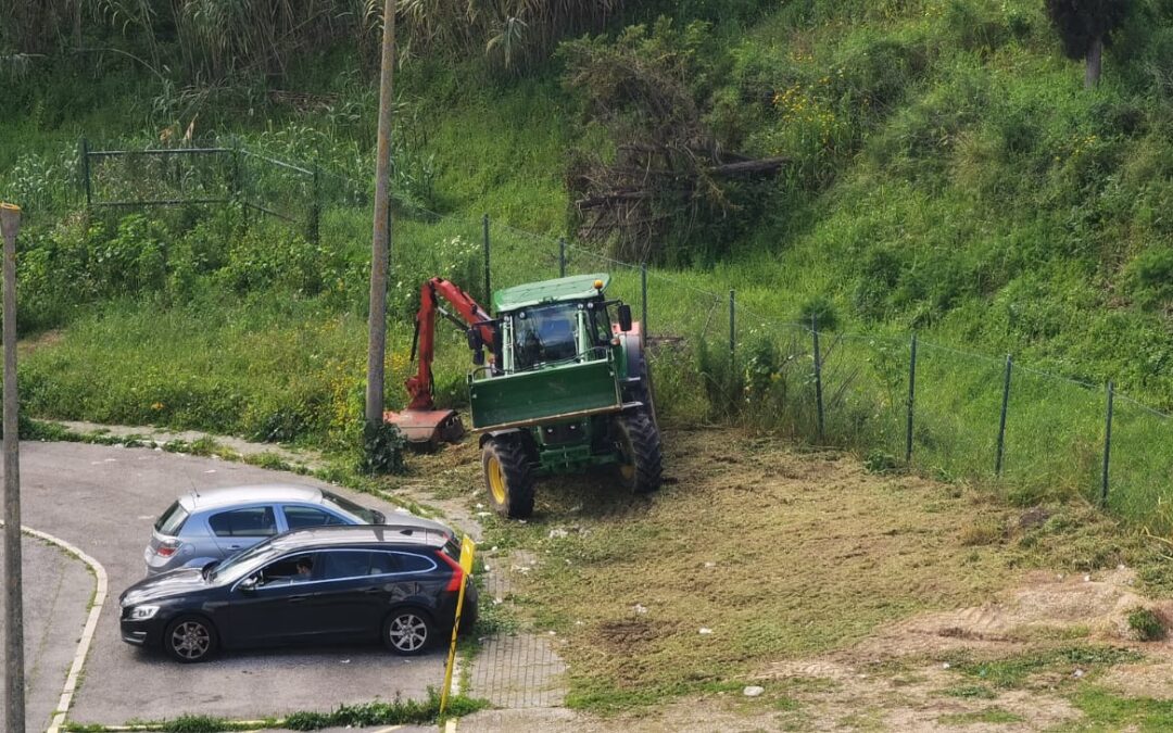 DESMATAÇÃO E LIMPEZA DE ESPAÇOS VERDES | SACAVÉM