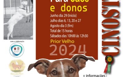 DIVULGAÇÃO | CURSO DE OBEDIÊNCIA BÁSICA PARA CÃES E DONOS | JUNHO | JULHO | AGOSTO | PRIOR VELHO