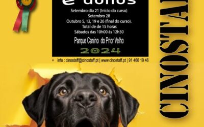 DIVULGAÇÃO | CURSO DE OBEDIÊNCIA BÁSICA PARA CÃES E DONOS | SETEMBRO | OUTUBRO