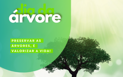 DIA MUNDIAL DA ÁRVORE E DIA INTERNACIONAL DAS FLORESTAS | 21 DE MARÇO