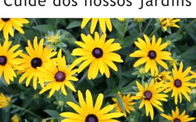 Não arranque plantas! Cuide dos nossos jardins!