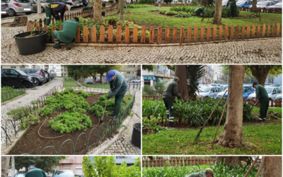 A DECORRER | LIMPEZA, MANUTENÇÃO E CONSERVAÇÃO DOS ESPAÇOS VERDES | SACAVÉM