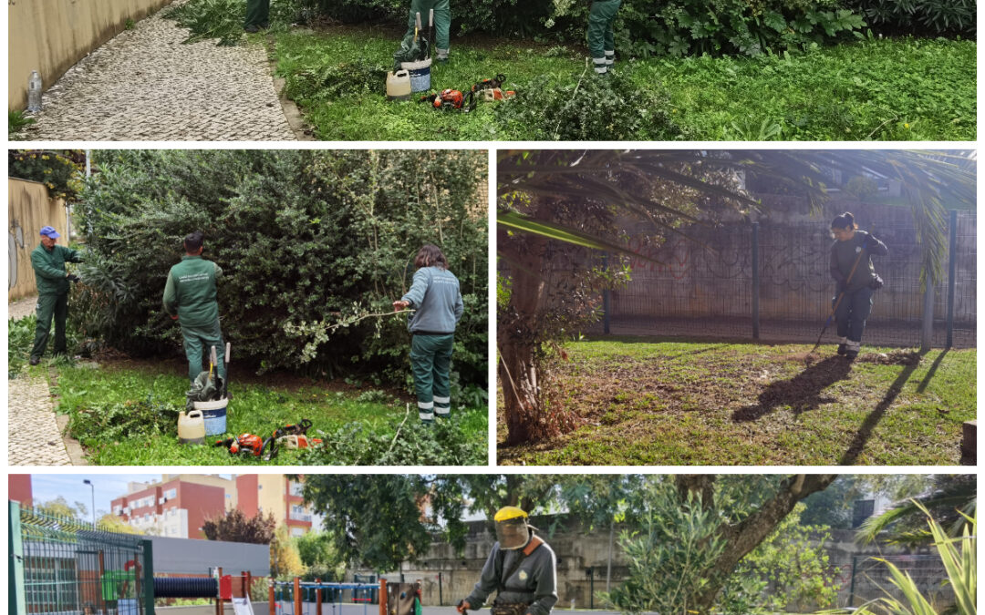 A DECORRER | MANUTENÇÃO E CONSERVAÇÃO DOS ESPAÇOS VERDES